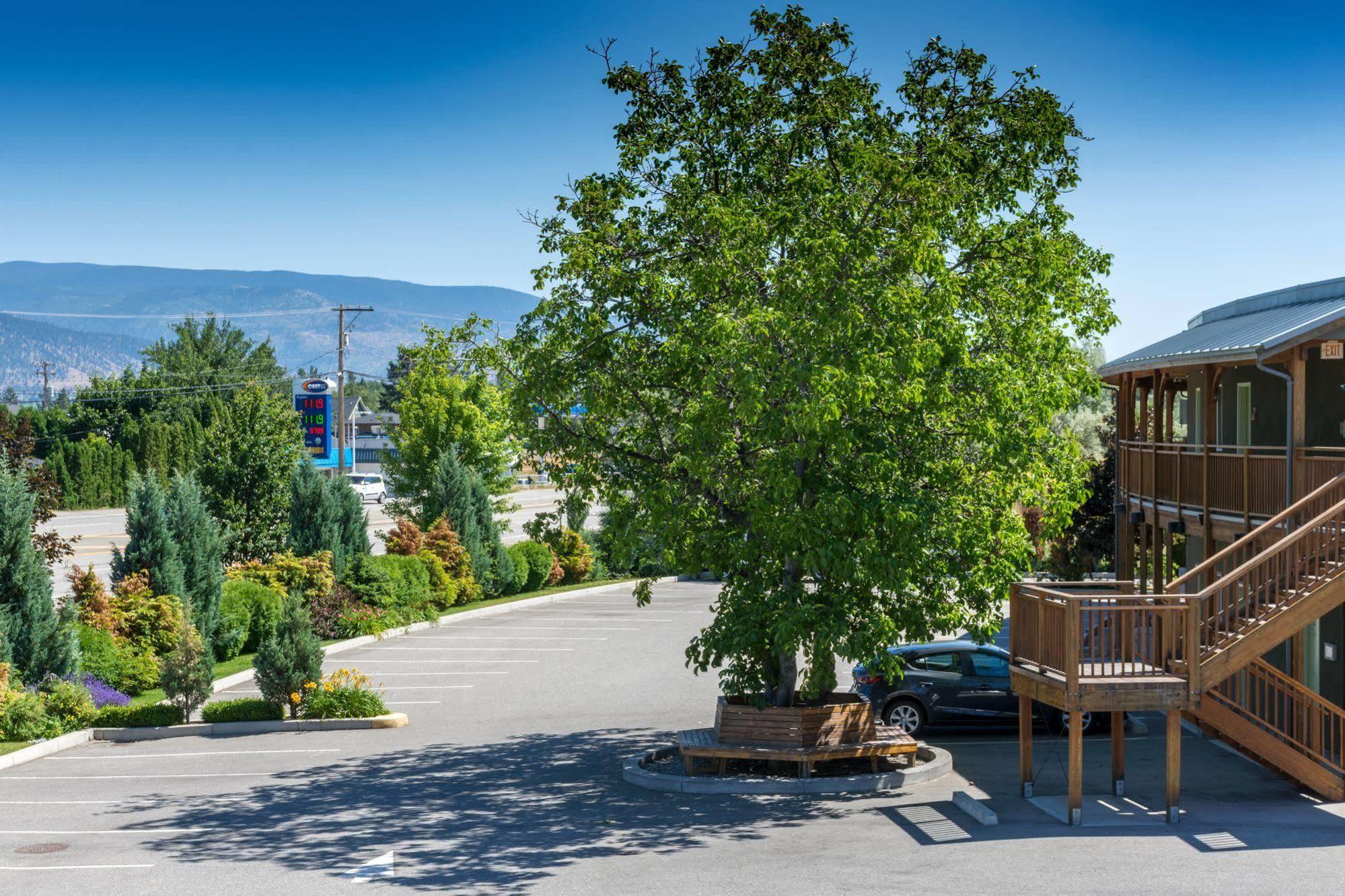 Summerland Motel Dış mekan fotoğraf